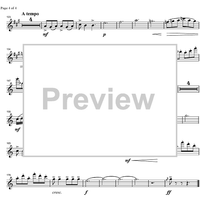 Argentinian Rhapsody - B-flat Bass Clarinet