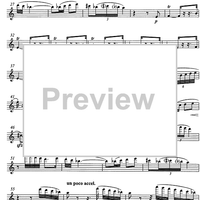 6 canzoni andaluse (6 andalusian songs) - Flute