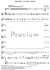 Mexican Shuffle - Trumpet in B-flat