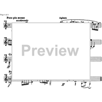 Trio Capriccioso - Vibraphone