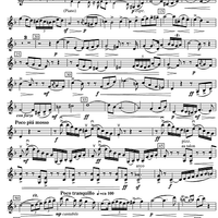 Sonata d minor - Violin