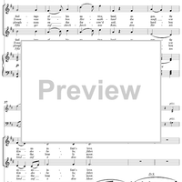 Twenty five Irische Lieder