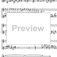 Danza nell'orto della petenera Op.41