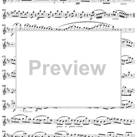 Trois Grands Duos, op. 87/3, flute 2