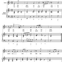 Ihr Gestirn, ihr hohen Lüfte