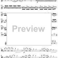 String Bass Concerto - Bass