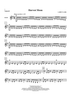 Harvest Moon - Violin 2