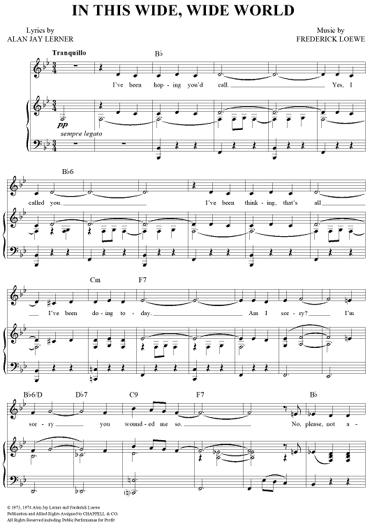 In This Wide, Wide World