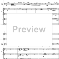 Oboe Concerto in C Major, HobVIIg/C1 Movement 2 - Full Score