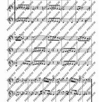 Zwölf Cassationsstücke - Performing Score