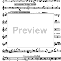 Battaglia di Maringo - Flute