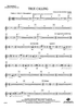 True Calling - Percussion 2