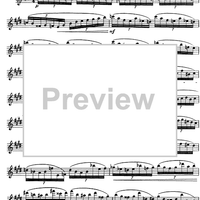 The Accomplished Clarinettist Vol. 1 - Clarinet