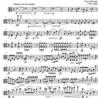 String Quintet C Major D956 - Viola