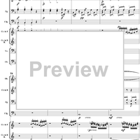 Serenade in D Minor, Op. 44, B77, Movement 1 - Score