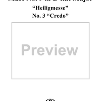 Mass No. 9 (Sancti Bernardi) in B-flat Major, "Heiligmesse": No. 3. Credo