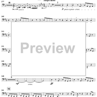 Serenade in D Minor, Op. 44, Movement 4 - Contrabassoon