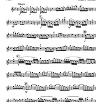 Allegro - Flute