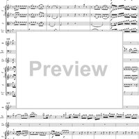 Bassoon Concerto in B-flat Major K186e (K191) - Full Score