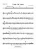 Triangle of the Tempest - Trumpet 1 in Bb