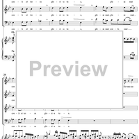 Mass No. 13 in B-flat Major: No. 4, Sanctus