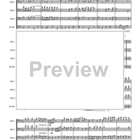 Magnetic Rag - Score