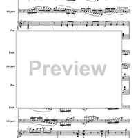 Andante And Hungarian Rondo - Piano