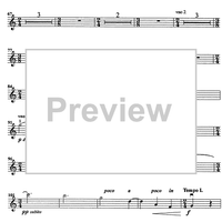 Godalni Quartet - Violin 1