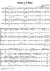 String Quintet in C Minor, Op. 104 - Full Score