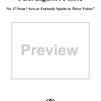 I Bei Ligustri e Rose