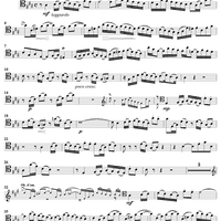 "Ich bin herrlich, ich bin schön", Aria, No. 4 from Cantata No. 49: "Ich geh' und suche mit Verlangen" - Cello