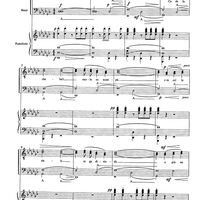 Co de la cheba 'l merlo xe scampà - Score