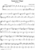 Sonata in C major - K501/P385/L137