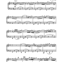 Harpsichord Concerto No. 5