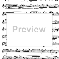 The Accomplished Clarinettist Vol. 2 - Clarinet