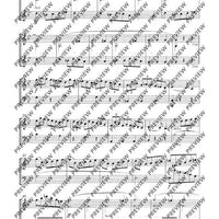 3 Duetti concertanti - Score and Parts