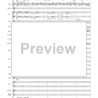 Harry Potter Symphonic Suite - Score