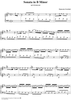 Sonata in B minor (K377/P245/L263)