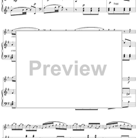 Flute Concerto in G Major, Allegro vivace - Piano