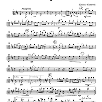 Brejeiro - Part 2 Viola