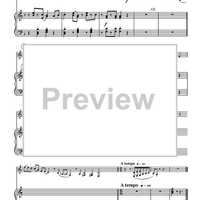 Concerto for Bass Clarinet - Piano Score