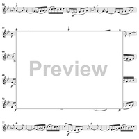 "Herr, nun lässest du deinen Diener", Aria, No. 2 from Cantata No. 83: "Erfreute Zeit im neuen Bunde" - Violin