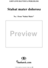 Stabat Mater, No. 1: Stabat mater dolorosa