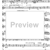 Quintet No. 2 Op.126 - Flute