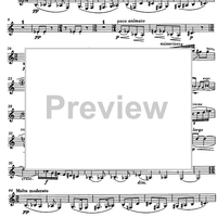 Music for wind quintet Op.20 - Clarinet in B-flat