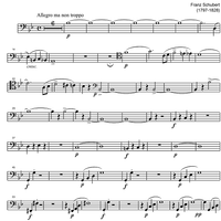 String Quartet No. 8 B Major D112 - Cello