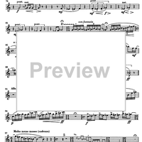Impromptu No.25 Op.84 - Violin