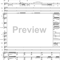 "O selige Wonne! Die glänzende Sonne steigt", No. 8 from "Zaide", Act 1, K336b (K344) - Full Score