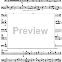 A Window to the Past