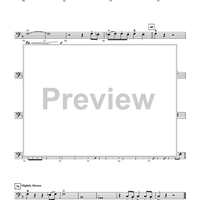 Echoes of the Cape - Bassoon